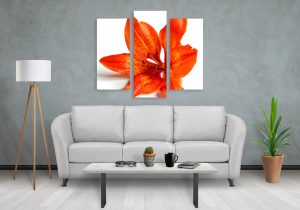 6 Reasons Canvas Printing Is The Best Choice For Your Walls